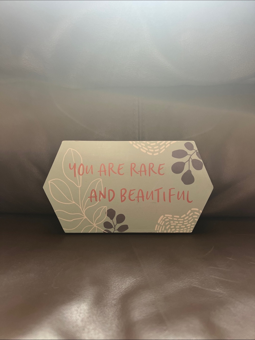 You Are Rare And Beautiful Wall Plaque - Sage Green & Coral
